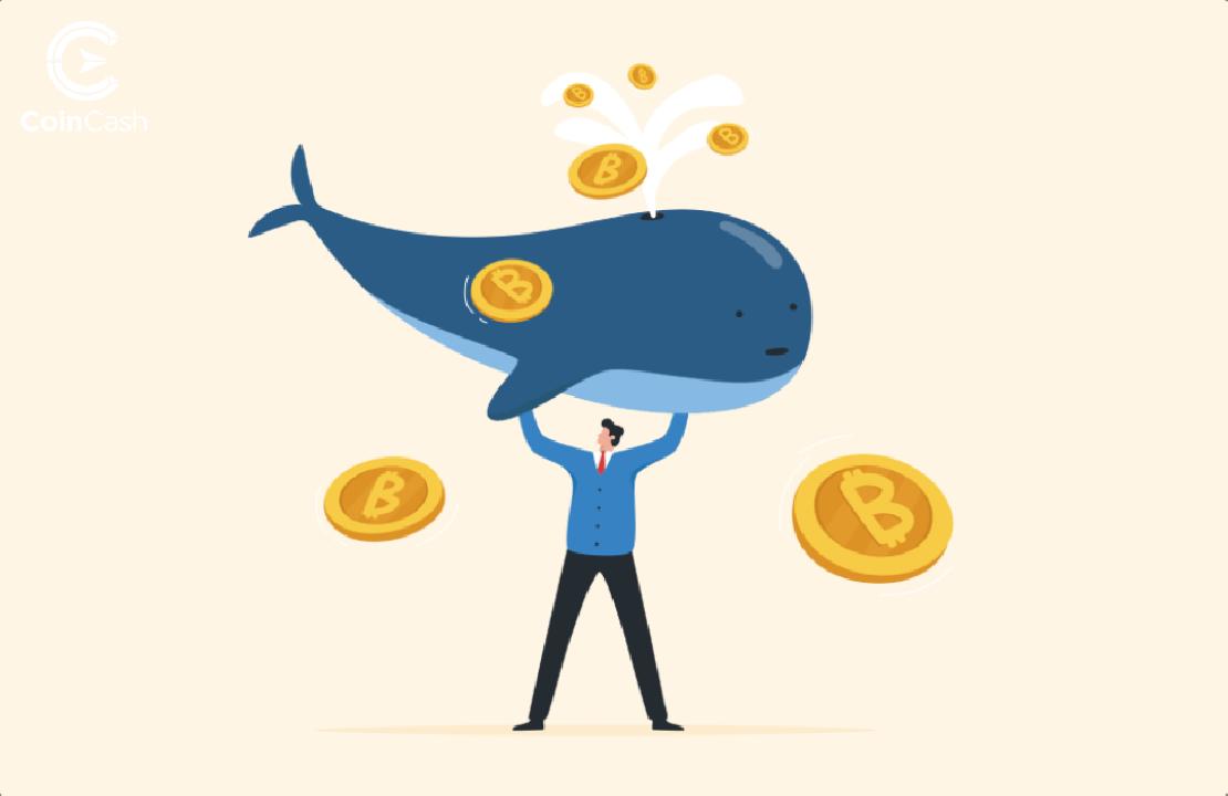 Egy bálna egy Bitcoin-érme mellett.