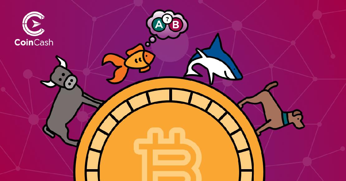 Egy bika, egy aranyhal ami épp döntést hoz, egy cápa és egy kutya sorakoznak egy BTC érme körül